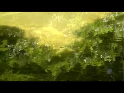 Water scene on Nokia N8, Tohoku, Japan