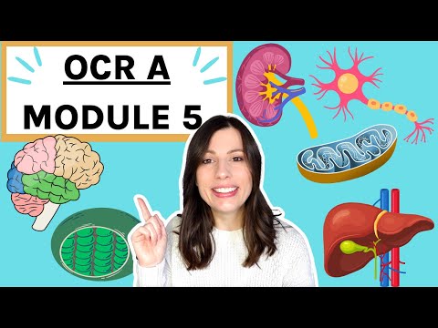 Module 5 OCR A level Biology: Nervous and hormonal response| Responses| Respiration | photosynthesis
