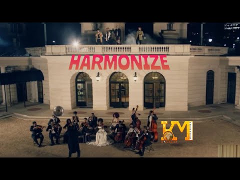 Harmonize ft Jose Chameleon, Kontawa & Zinolesky - Huku (Music Video)