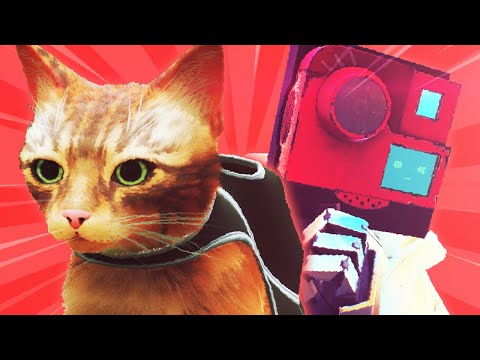 A HISTÓRIA EXPLICADA DE STRAY...