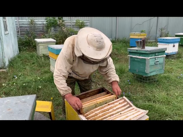 Ильгизар Гатауллин, из села Аппаково, готовит пчел к зимовке