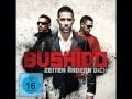 Bushido Ft Glashaus Steh Auf