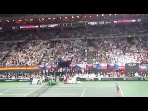 Fed cup 2014 - final