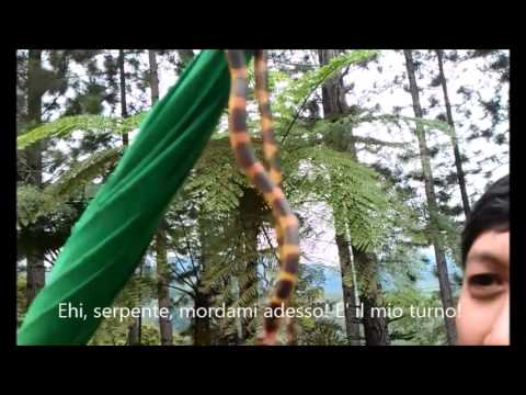 Targhe a buon mercato da vermi per la persona I vermi alla persona e come liberarsi da loro