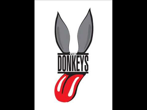 I Don't Know Why - Donkeys Forever - Rolling Stones Tribute