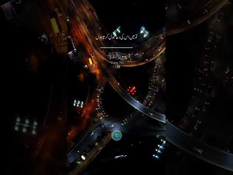 When a supplicant calls upon Me, 🤲I accept his supplication.☝️#quran #foryou #cricket