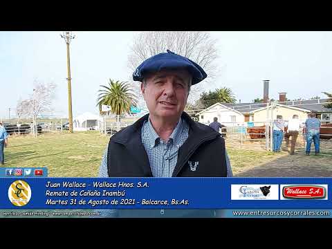 31-08-21 - Juan Wallace - Wallace Hnos. S.A. - Remate de Cabaña Inambú   Balcarce, Bs.As.