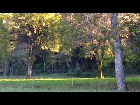 Relly 2 valli 2016 a sanfrancesco