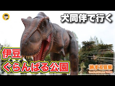 YouTube動画を再生