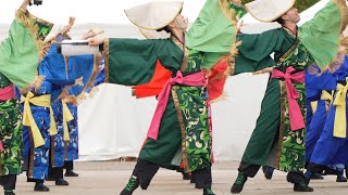 Narutaka 📍Fukunoyama Yosakoi (Central Park) 2025-10-26T14:46