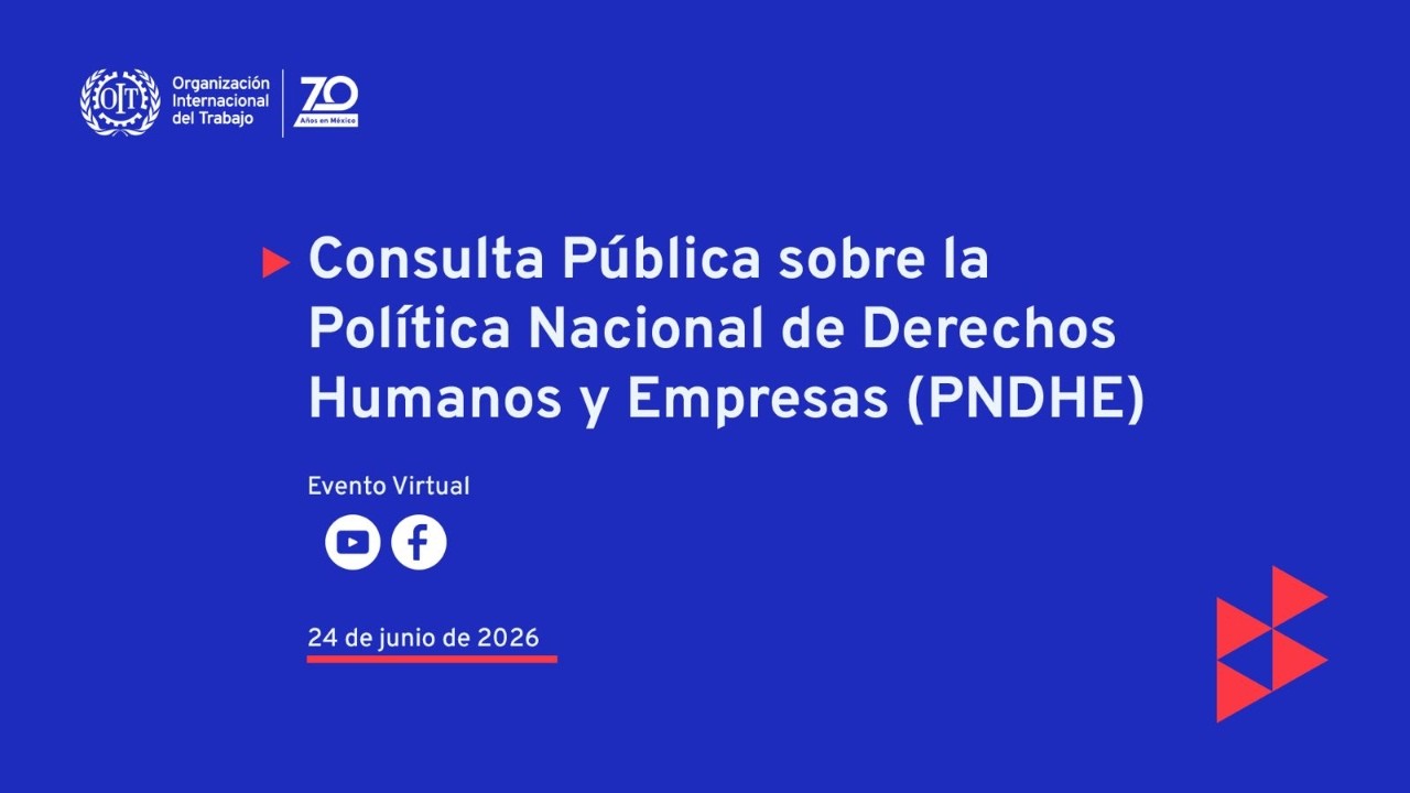 Consulta Pública sobre le Política Nacional de Derechos Humanos y Empresas (PNDHE)