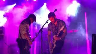 Viva Suecia - Todo lo que importa