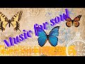 Music for soul - music for peace - Music for joy & happiness - Music for ultimate nirvana and calm.