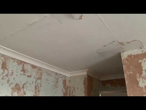 Coving with wood chip paper removal