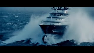 Biosphere - Poa Alpina