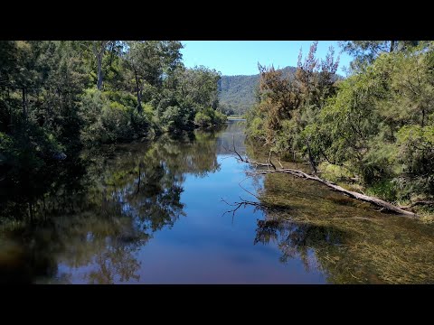 23 Rivertree Road, Tenterfield, NSW 2372, 0房, 0浴, 乡村住宅