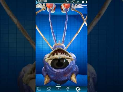 Sonic VS Sonic EXE VS Eyx Shin Sonic VS Shin Sonic #sonic #shorts