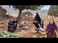 Stepmother S Life 16 Year Old Fatima Is Ready To Fight For Hamid S Love With Zahra