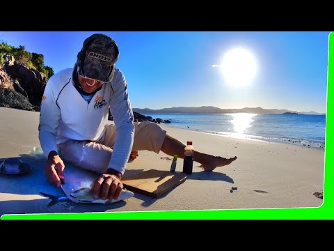 Solo 3 day Hoochie boat camping - Catch and Cook - Day 2 - EP.539