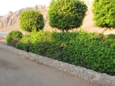 The hotel territory Happy Life Village - Dahab - South Sinai - Egypt