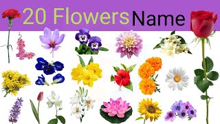 Flowers names, Flower name, Flowers name with picture, फूलों के नाम #flowers