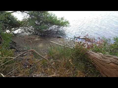 Arroyo_Solis_Chico_frente_a_los_portuarios_Parque_del_plata_Canelones
