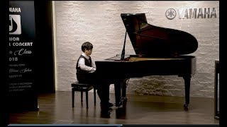 Variations on Birds in the Sky / Kim, Jee Hoon JOC Master Class 2018