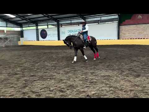 VISITA A CUCO RAYA PARTE 1