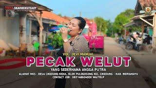 Download lagu PECAK WELUT - VOC. DEVI MANUAL || SOUND CHECK ANGGA PUTRA mp3 Download lagu PECAK WELUT - VOC. DEVI MANUAL || SOUND CHECK ANGGA PUTRA mp3