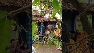 Download lagu singo barong mojopahit manggolo jati mp3 Download lagu singo barong mojopahit manggolo jati mp3