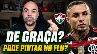 CEBOLINHA NO FLUMINENSE? A REAL SOBRE O NEGÓCIO E OS VALORES!
