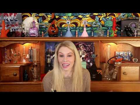 WOLKENKRAFT VAPORIZER BUDDY REVIEW
