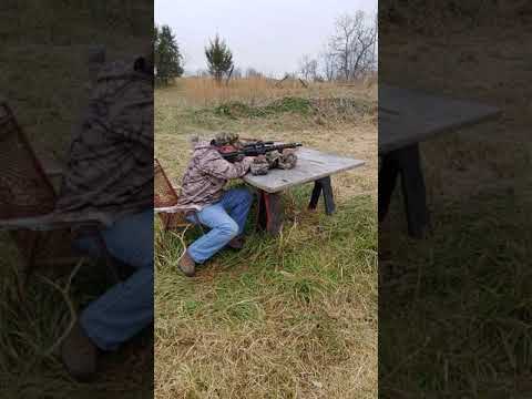 Diamondback Firearms DB-10 Diamond Series 308 Review