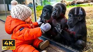 One of the Cutest Baby and Animal Moments In the World! 🥰