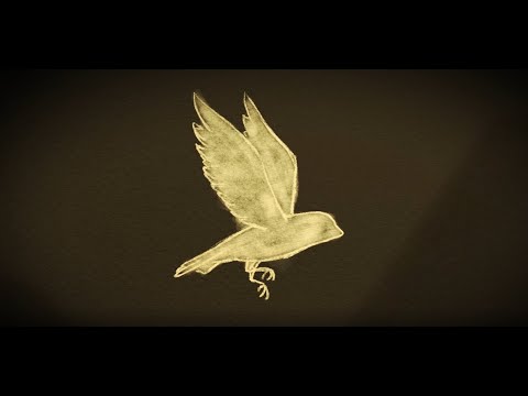 The Arcadian Wild - Little Bird (LYRIC video)