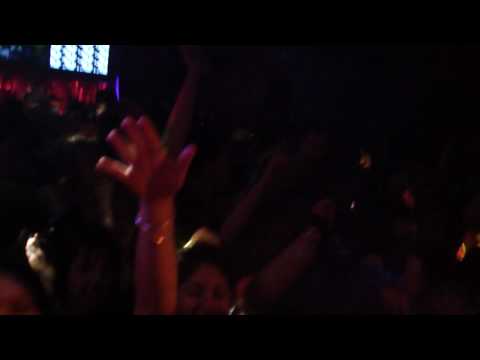 WoNK - Nasty dog .. Heaps Loose New Zealand