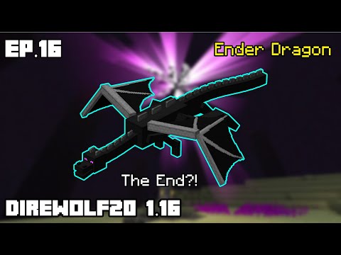 Direwolf20 1.16 [Ep.16] Ender Dragon