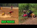 Funny Moments ️Collection Of Hilarious Videos That Will Make You Laugh 73