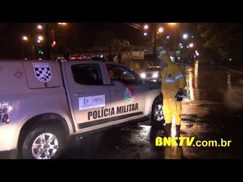 Árvore de grande porte, cai em Tubarão, SC.