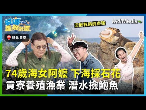 臺灣最東邊的貢寮！74歲海女阿嬤每日下海採石花菜，運用自然潮汐洋流養殖鮑魚、海葡萄，竟還有Google Map上找不到的澳底秘境 Feat.允惟【城鄉走跳計畫】EP11‪