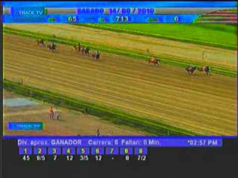 Resumen Sábado, 14 de Agosto de 2010 - La Rinconada