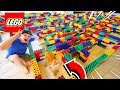 WORLD S BIGGEST Maze For Cats Can The Kitten ESCAPE