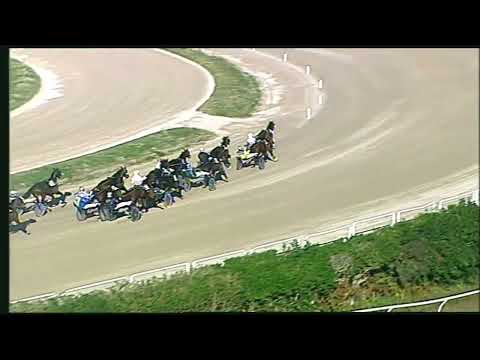 Napoli Trotto 27/11/2022 - 2ª corsa