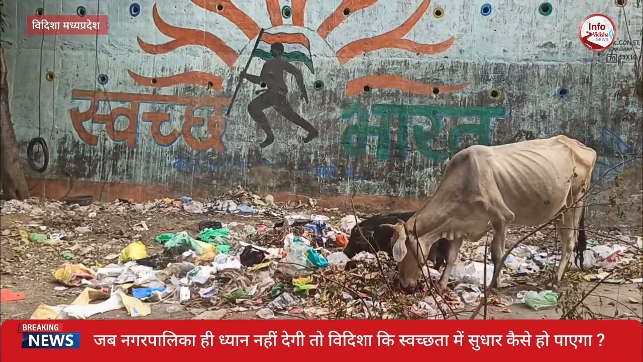 गांधी चौक से नगर पालिका के मुख्यालय तक कचरा ही कचरा,विदिशा की ऐसी दुर्दशा पहले कभी नहीं देखी ......