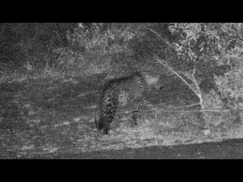 Djuma: Thandi trying to reassure Tlalamba that everything is ok - 21:50 - 08/13/18