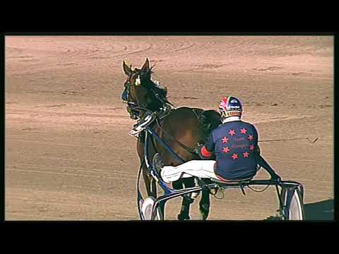 Trotto 18/10/2020 - 7ª corsa