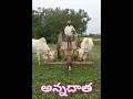Annadata Annadata అన్నదాత అన్నదాత