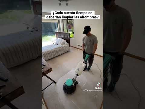 ¿Cada cuánto tiempo se deberían limpiar las alfombras? #clean #cleaning #limpiezadepisos