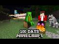 100 Days But Plane Crash