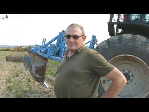 Préparer le sol avant la plantation : important pour la  future peupleraie